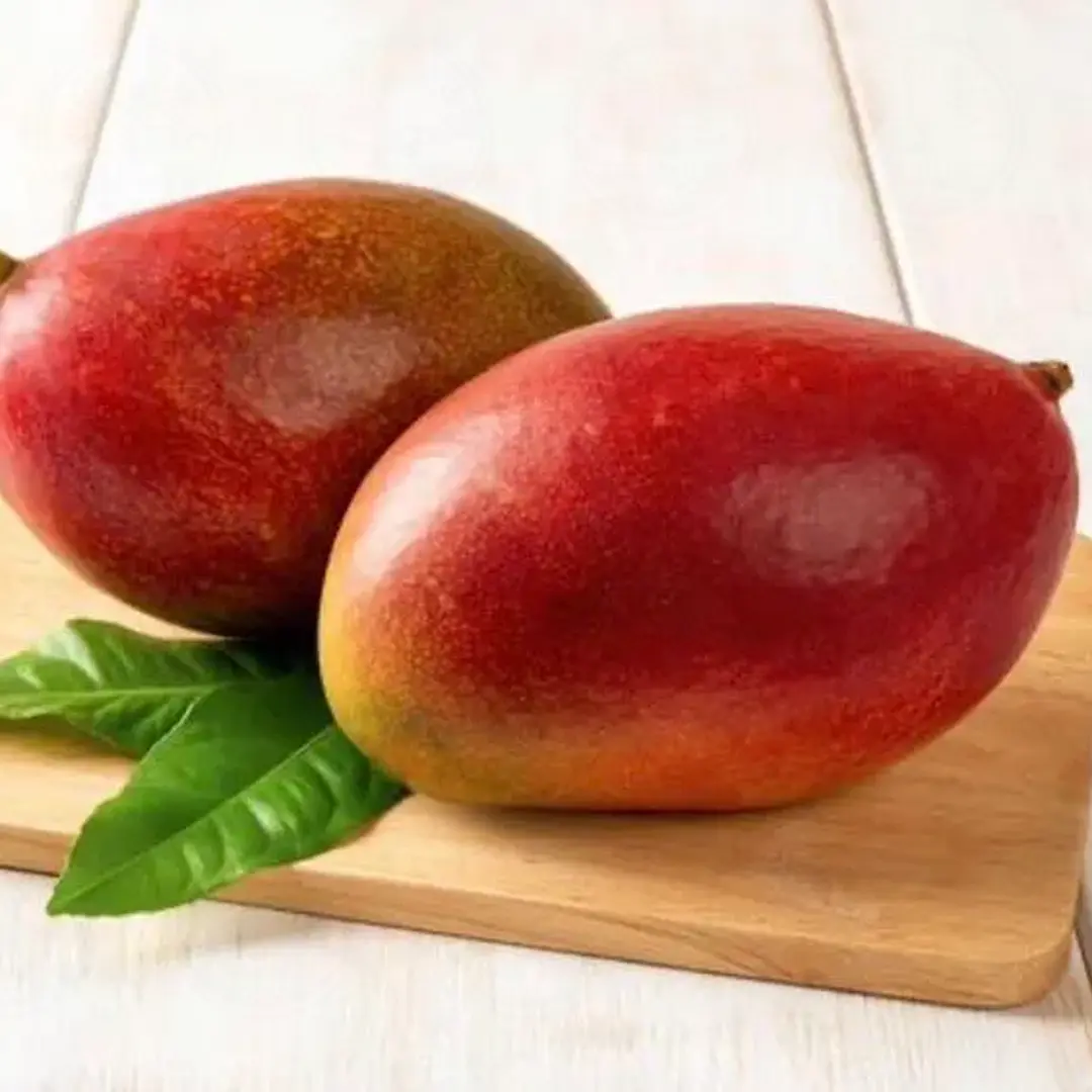 Манго Палмер / Mangifera indica Palmer