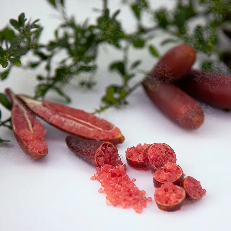 Микроцитрус Пинк Айс / Microcitrus Pink Ice — цитрусовое растение, детальное фото
