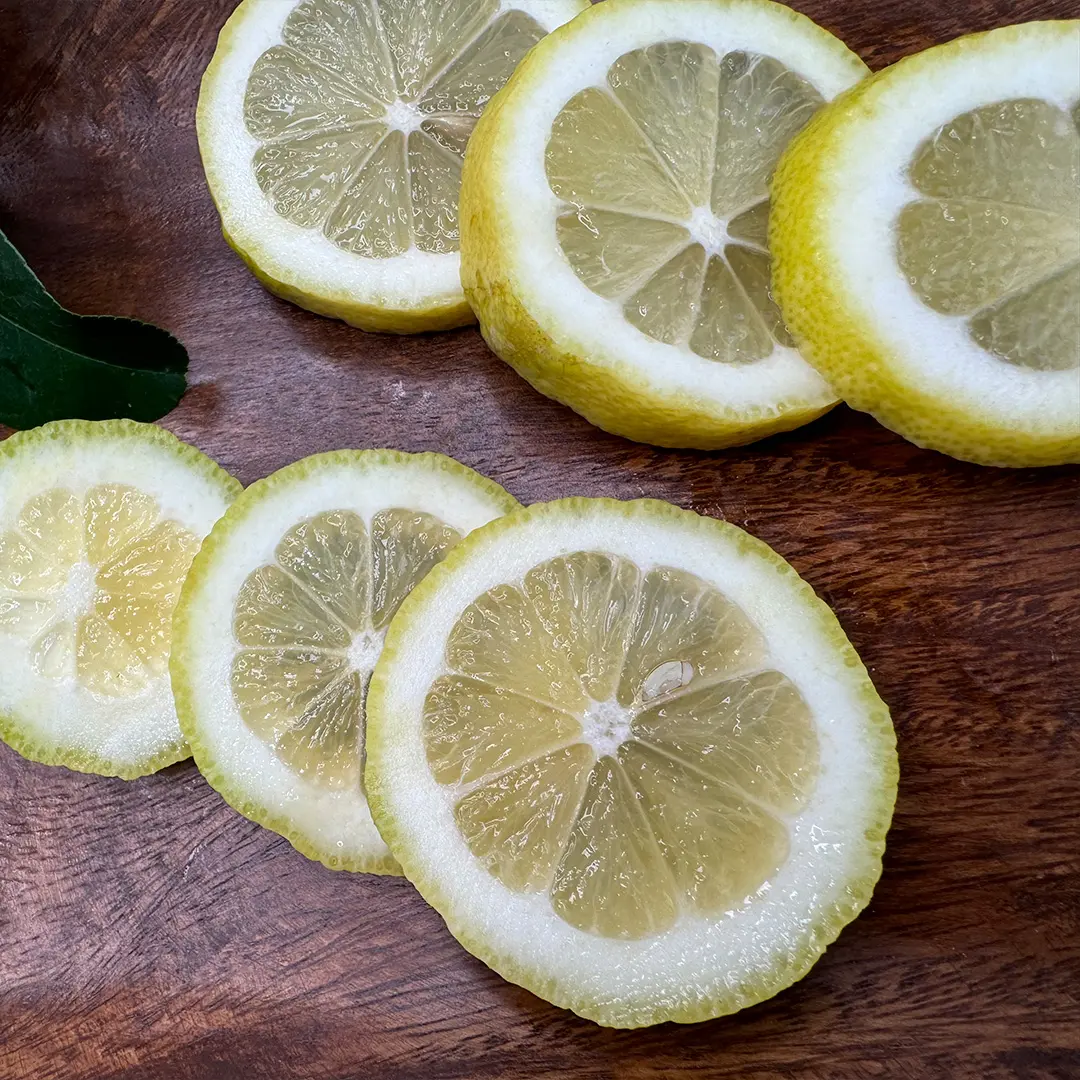 Купить лимон Фемминелло Загара Бьянка (Citrus limon "Femminello zagara bianca")