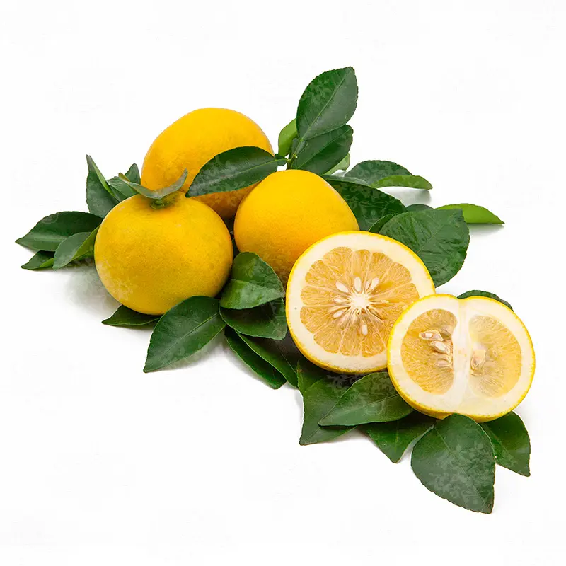 Помело Россо Искья / Pomelo Rosso D'Ischia — цитрусовое растение, детальное фото
